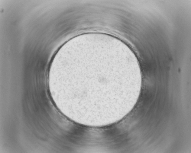 X0000088581514200706151658