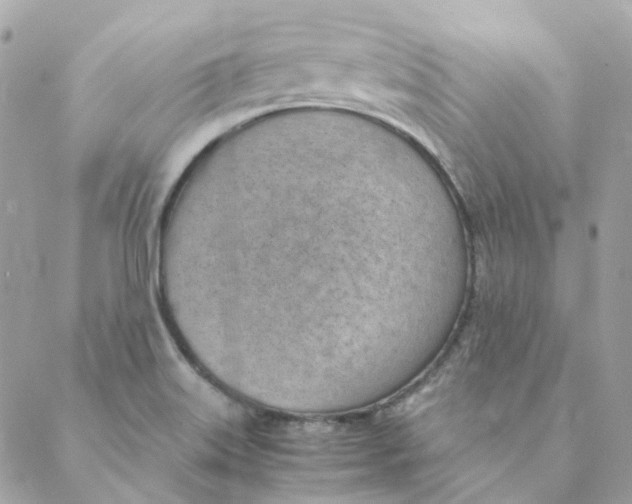 X0000088581515200706151658