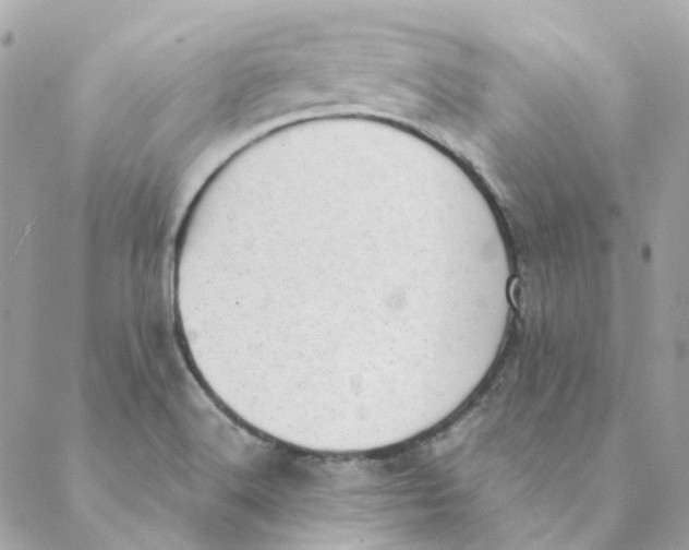 X0000088581516200706151658