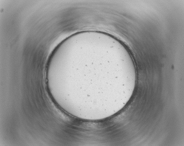 X0000088581517200706151658