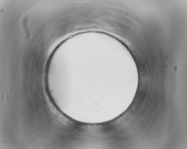 X0000088581518200706151658