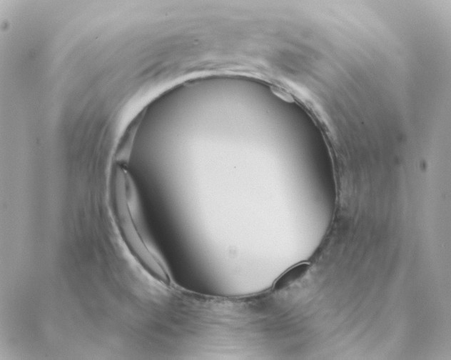 X0000088581520200706151658