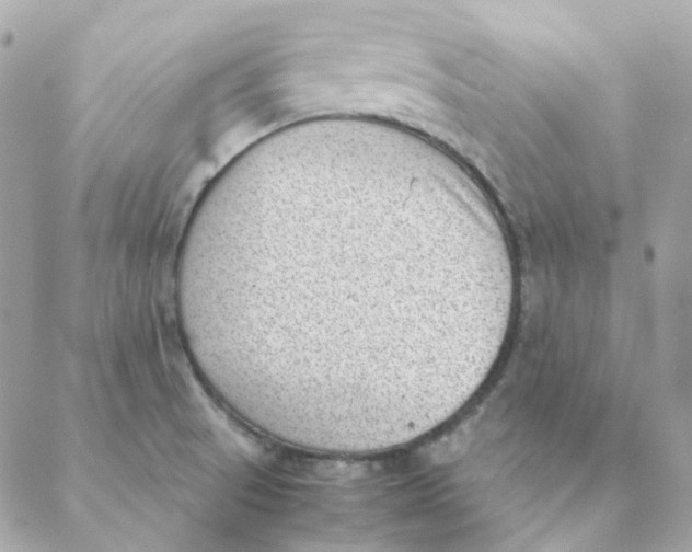 X0000088581521200706151658