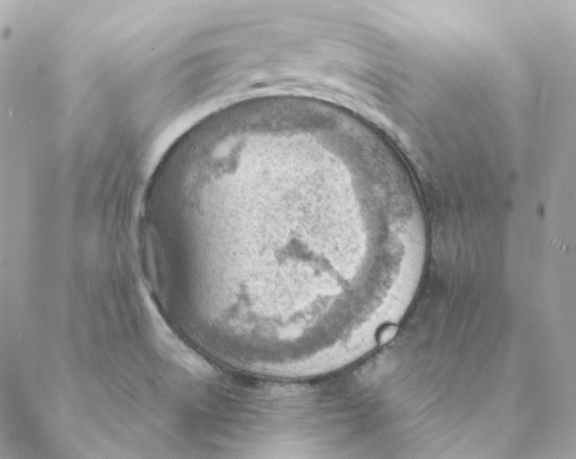 X0000088581522200706151658