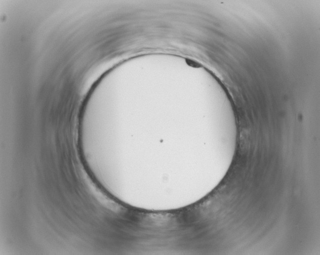 X0000088581523200706151659