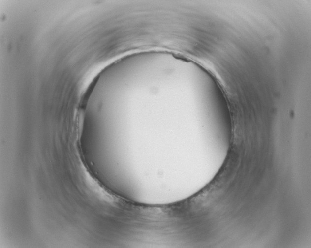 X0000088581524200706151659