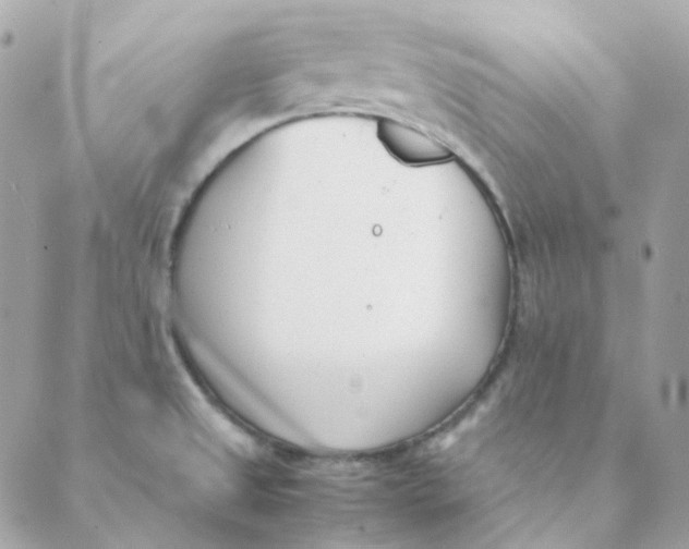 X0000088581525200706151659