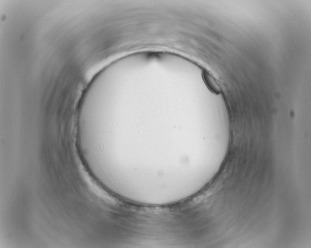 X0000088581526200706151659