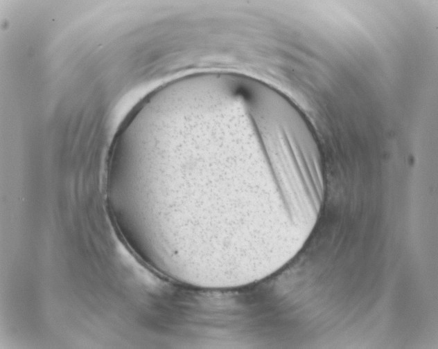 X0000088581527200706151659