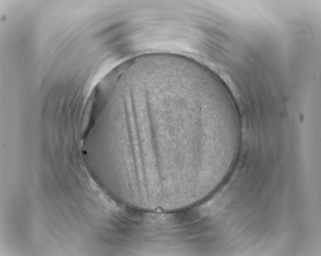 X0000088581529200706151659