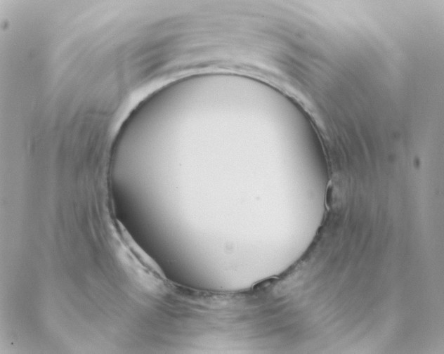 X0000088581530200706151659