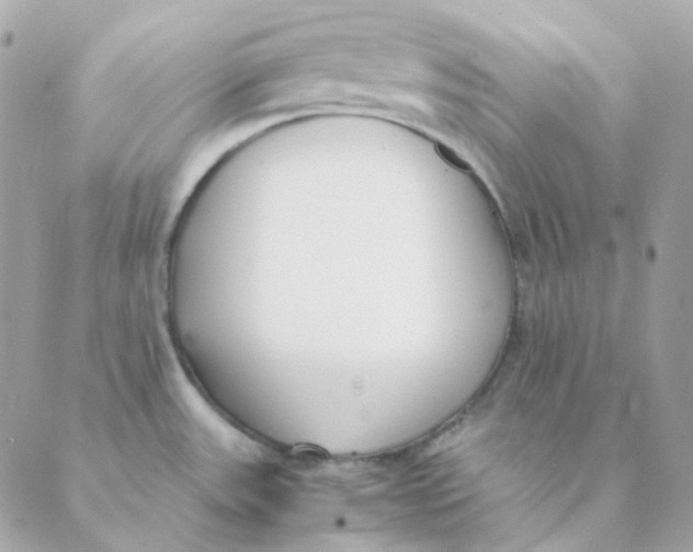 X0000088581531200706151659