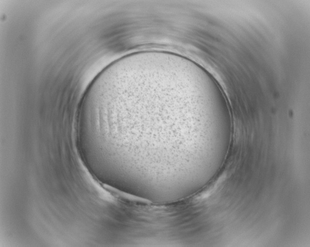 X0000088581533200706151659