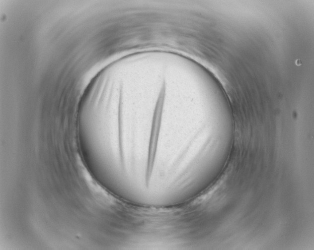 X0000088581534200706151659