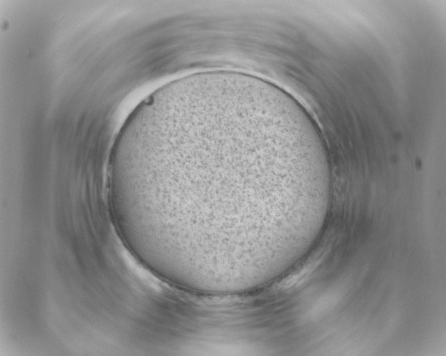 X0000088581535200706151659