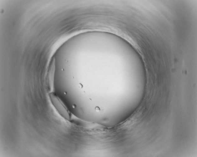 X0000088581536200706151659