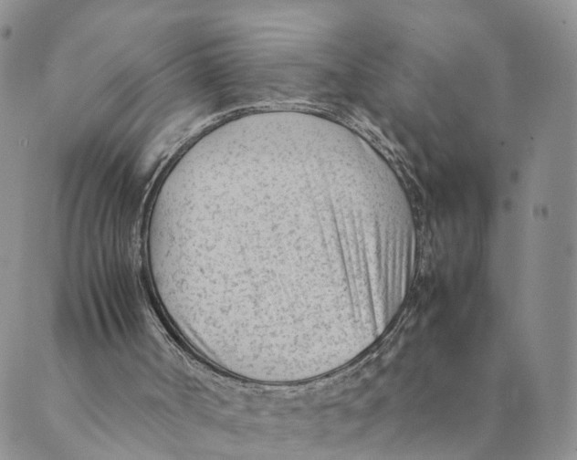 X0000088580002200706221328