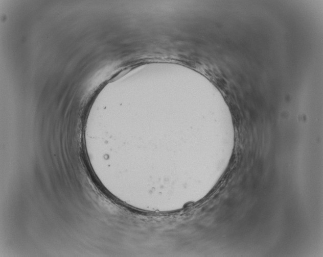 X0000088580005200706221328