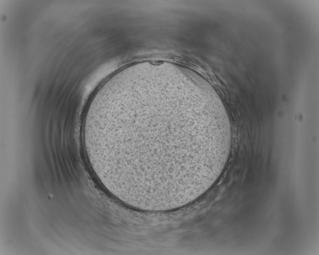 X0000088580006200706221328