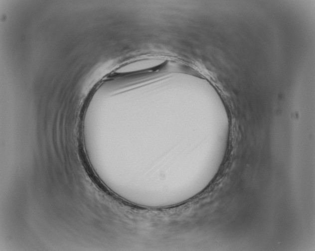 X0000088580007200706221328