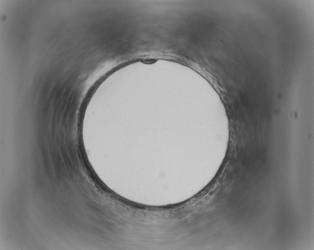 X0000088580008200706221327