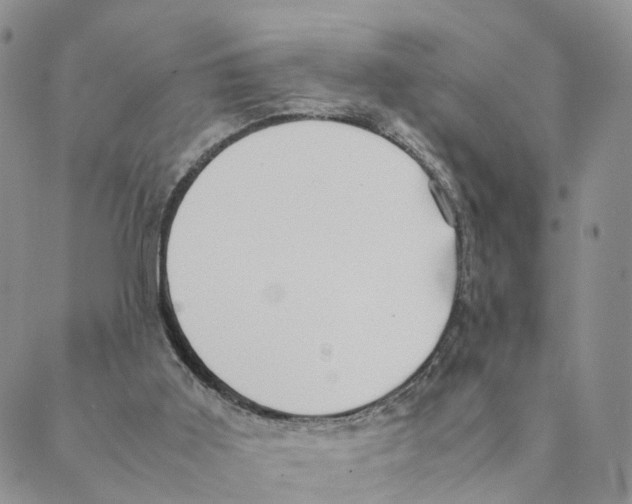 X0000088580011200706221327