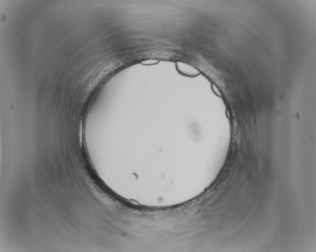 X0000088580013200706221327