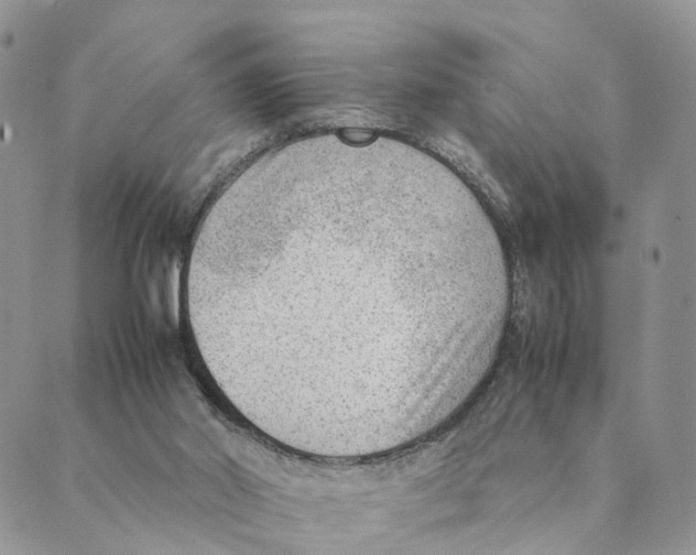 X0000088580014200706221327