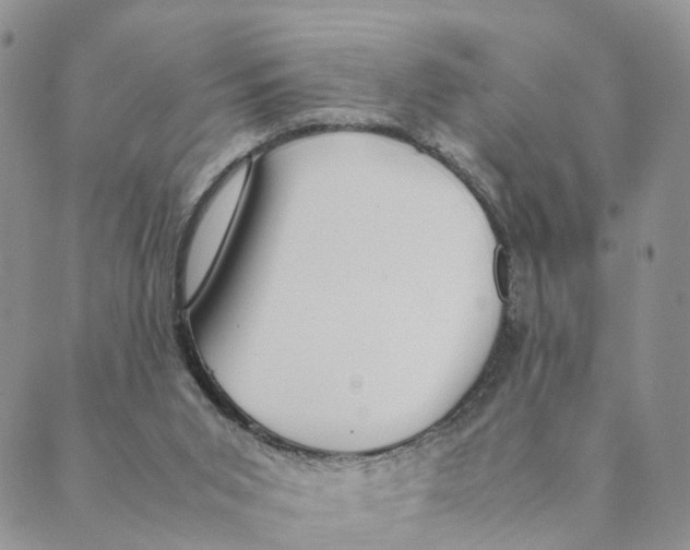 X0000088580015200706221327