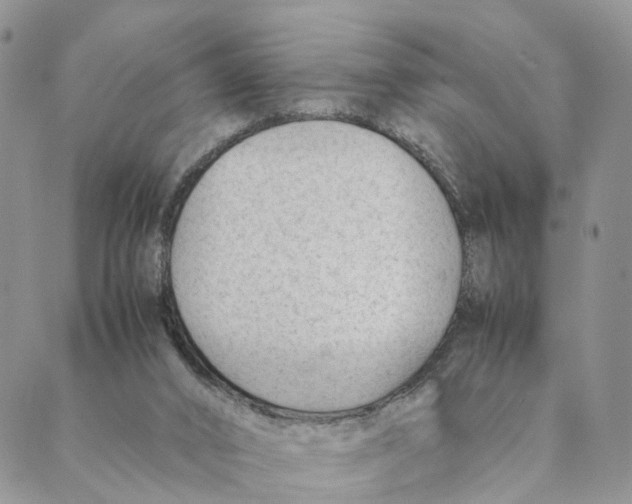 X0000088580016200706221327