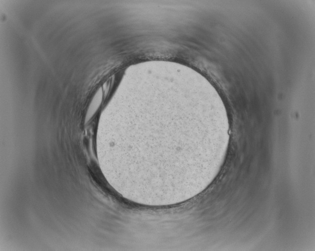 X0000088580017200706221327