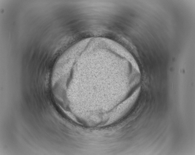 X0000088580018200706221327