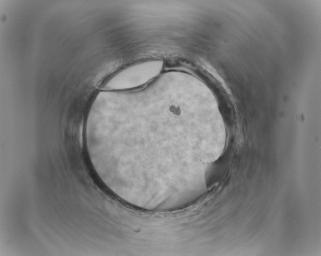 X0000088580019200706221327