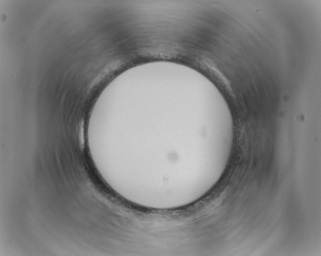 X0000088580020200706221327