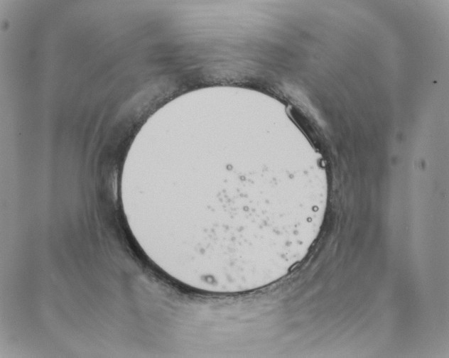 X0000088580021200706221327