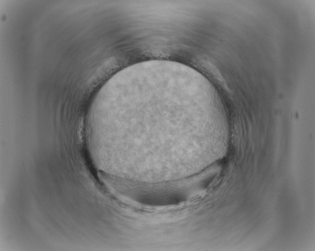 X0000088580023200706221327