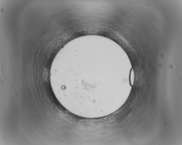 X0000088580025200706221327