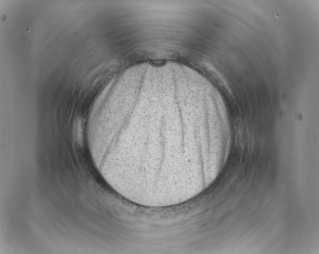 X0000088580026200706221327