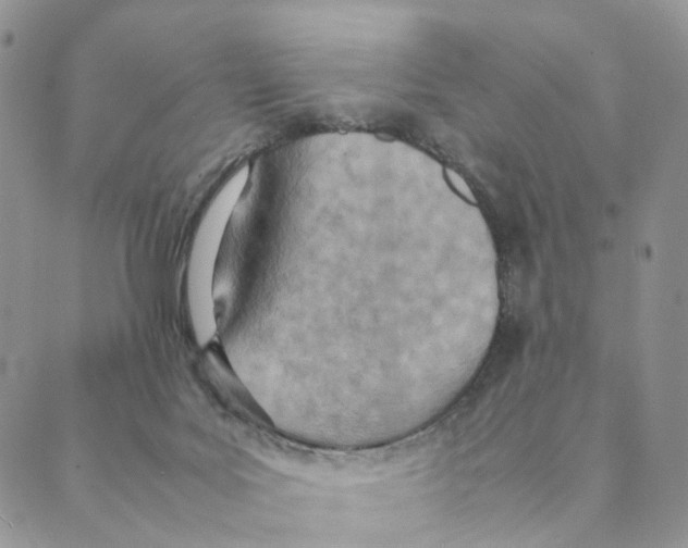 X0000088580027200706221327