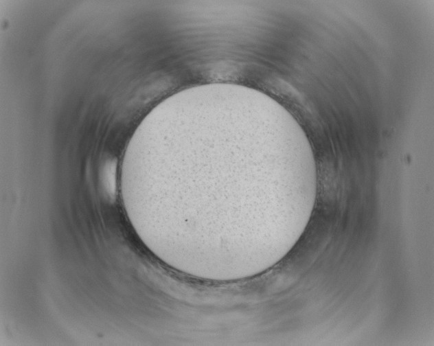 X0000088580028200706221327