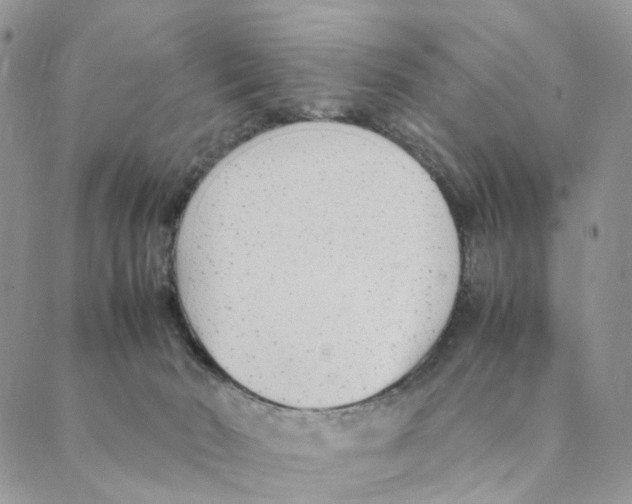 X0000088580030200706221327