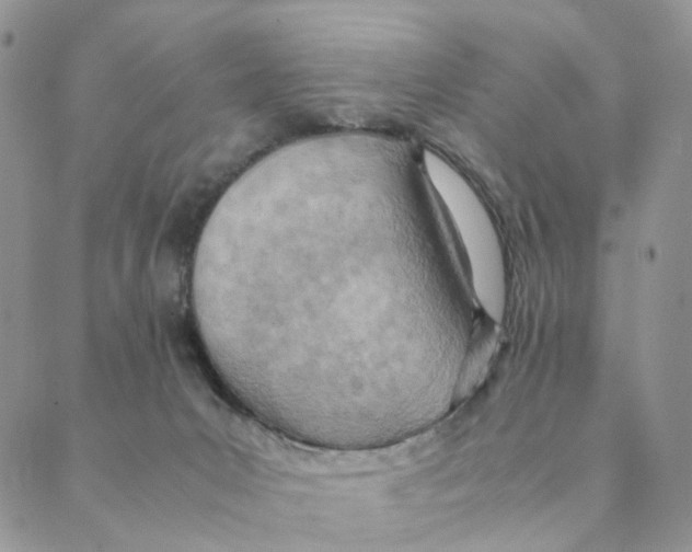 X0000088580031200706221327