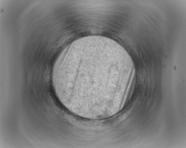 X0000088580032200706221327