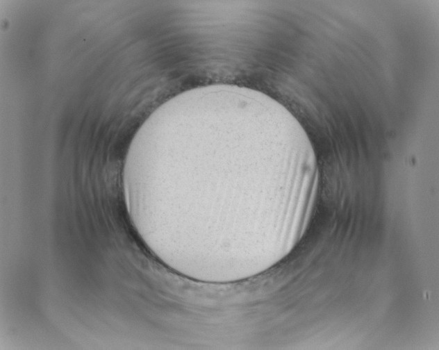 X0000088580034200706221327