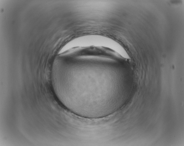 X0000088580035200706221327