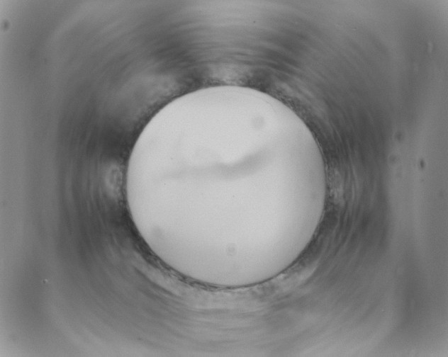 X0000088580036200706221327