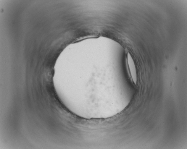 X0000088580037200706221327