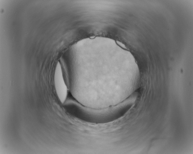 X0000088580039200706221327