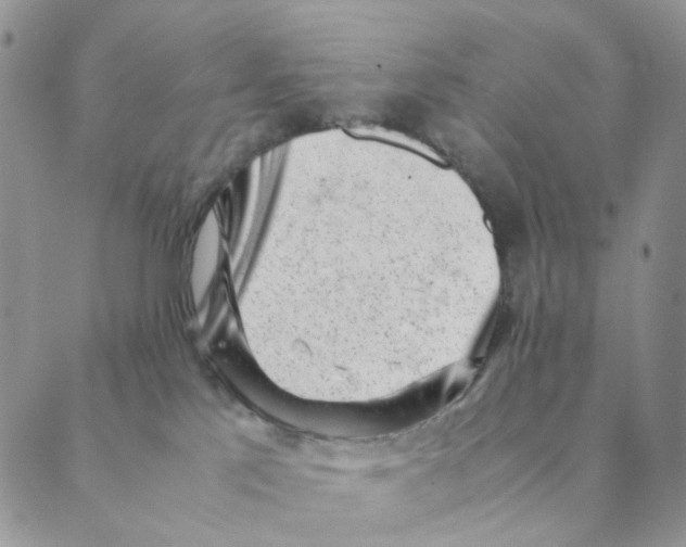 X0000088580041200706221327