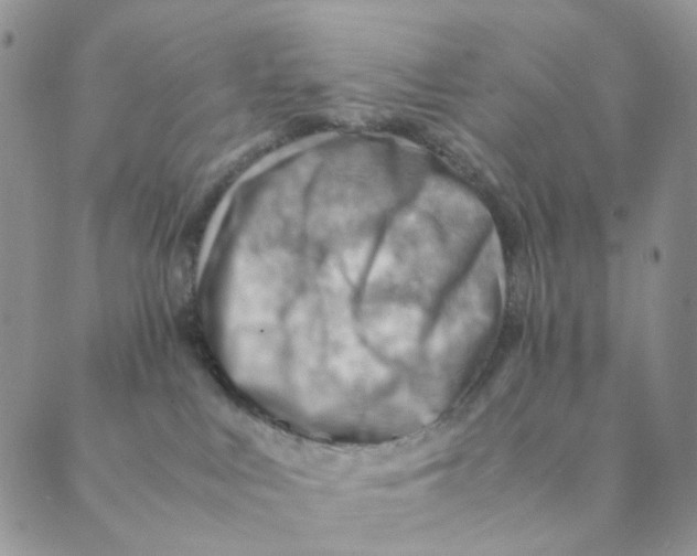 X0000088580043200706221327